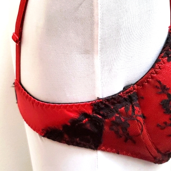Bra & (2) Panty Set Sizes 38C/1x Red & Blk Lace By Delicates - Picture 14 of 17